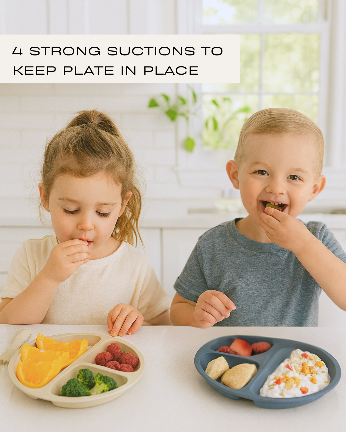 Suction Plates with Lids (Fog / Sage / Taupe)