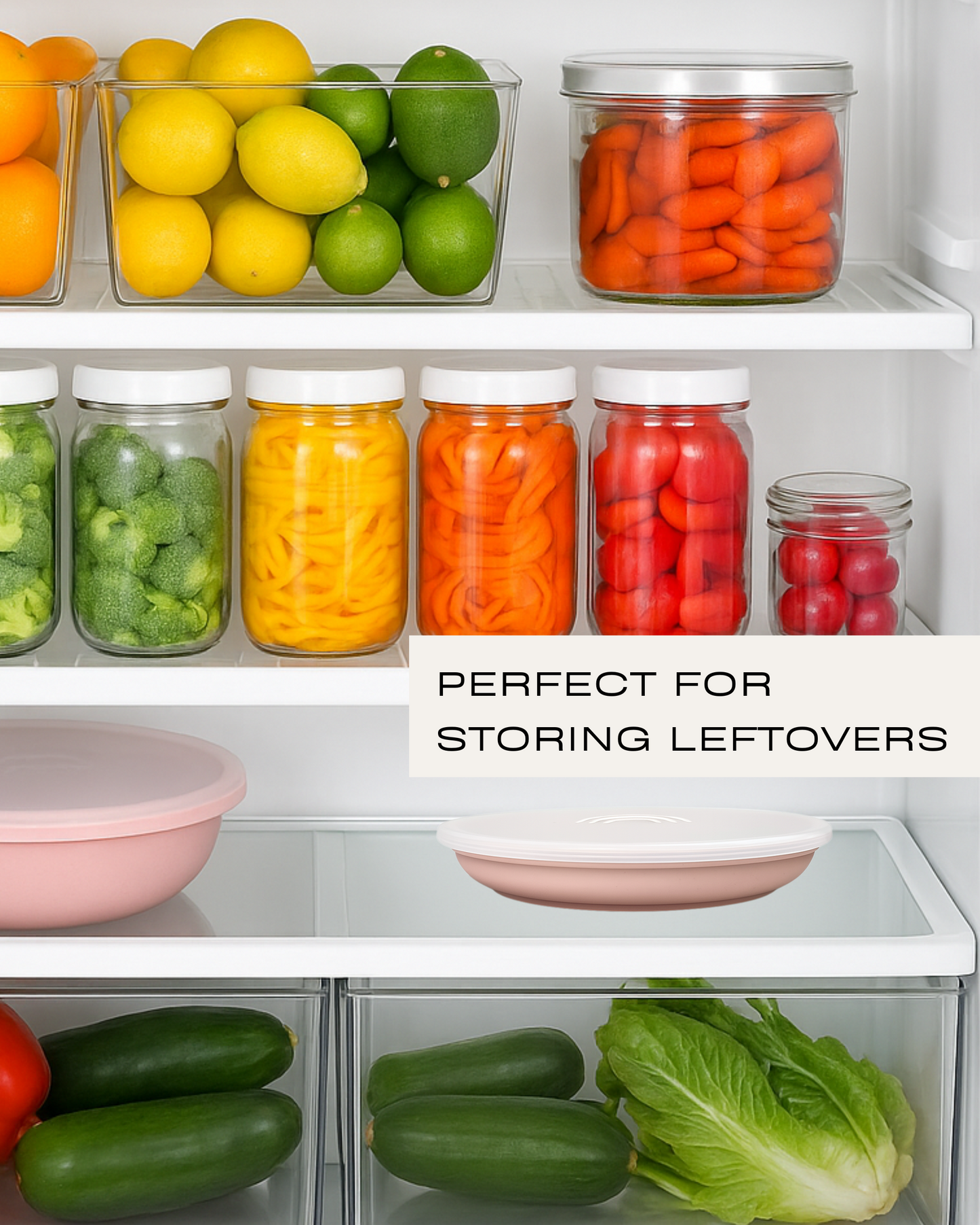 Suction Plates with Lids (Fog / Sage / Taupe)