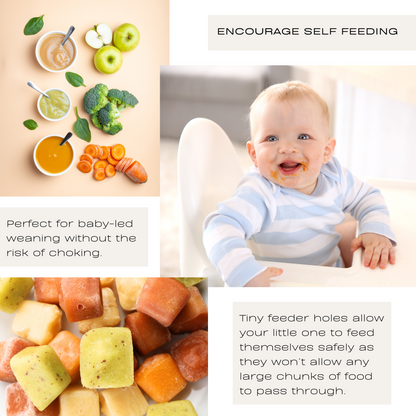 Baby Food Feeder Set