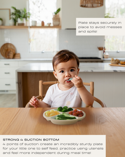 Silicone Suction Plates (Teal / Gray / Lime)